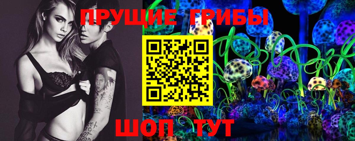 Звенигород  Псилоцибиновые грибы GOLDEN TEACHER  Псилоцибиновые грибы GOLDEN TEACHER  Вход с VPN 
